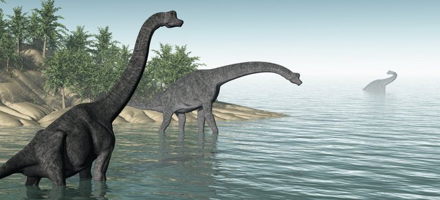 Where-did-long-neck-dinosaurs-live-AdventureDinosaurs