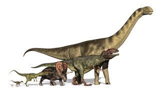 What-do-all-dinosaurs-have-in-common-AdventureDinosaurs