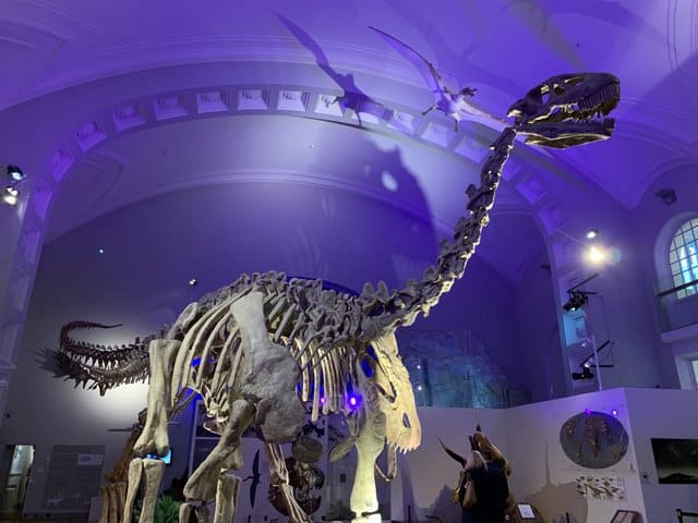 Shunosaurus_Helsinki_Museum_AdventureDinosaurs, The Best Dinosaur Museums in Europe - Unearth the Top Dino Exhibits on the Continent