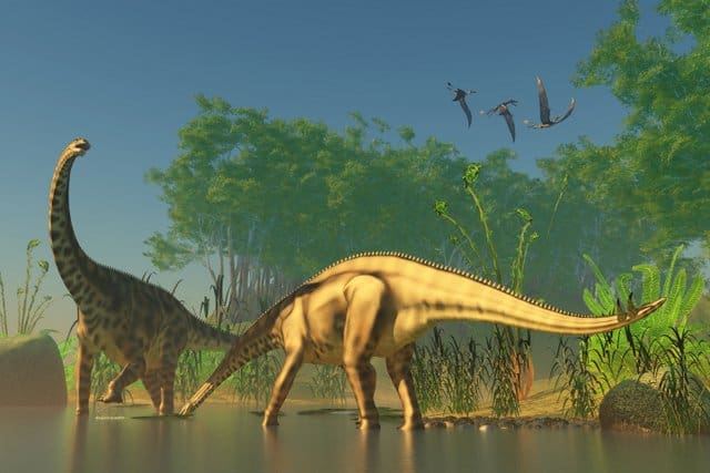 Long-neck-sauropods-AdventureDinosaurs