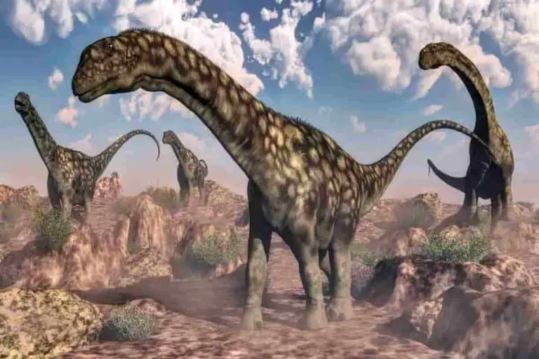 dinosaur with the really long neck