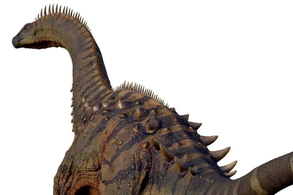 long neck dinosaur with spikes on back