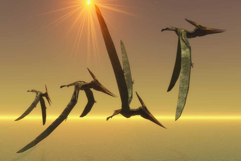 How-well-did-pterodactyls-fly-AdventureDinosaurs