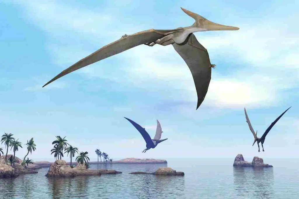 North-American-pterosaurs-AdventureDinosaurs