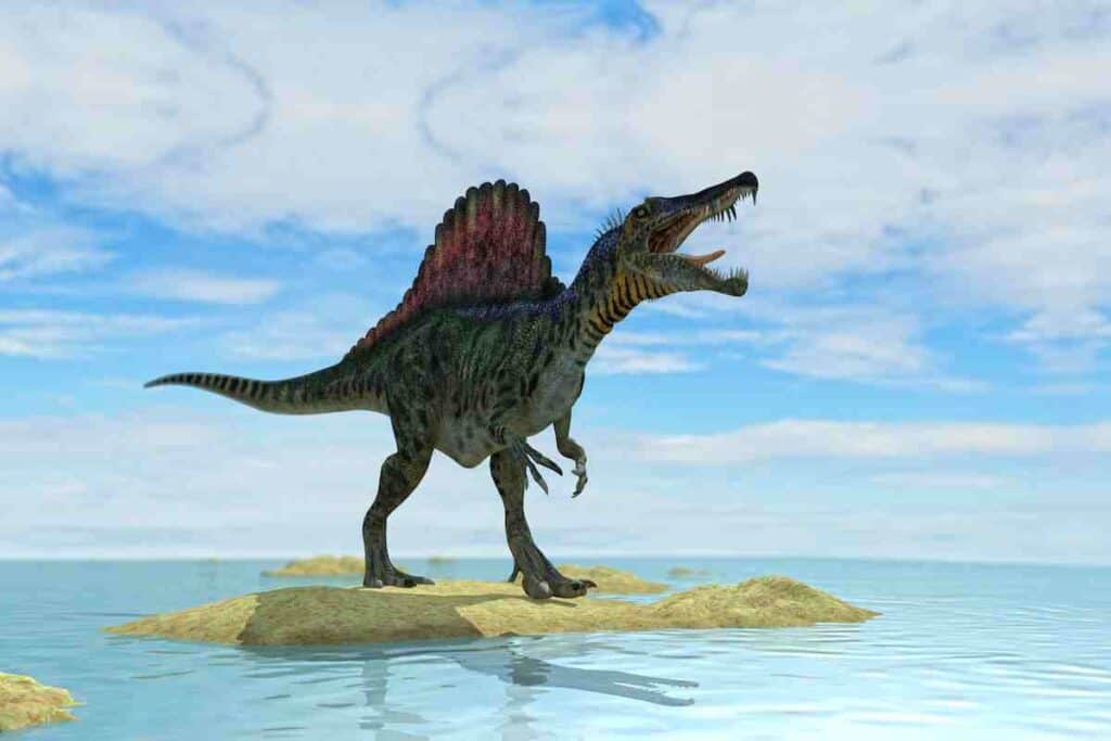 What-is-the-Spinosaurus-related-to-AdventureDinosaurs