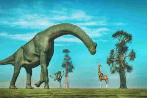 A towering Brachiosaurus and a giraffe stand next to each other, Are Giraffes Related to Long Neck Dinosaurs? Surprising Brachiosaurus [And Giraffes Descendants], giraffe descendants, sauropod descendants