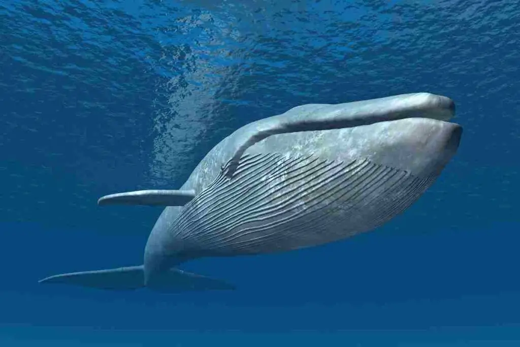 Who's Bigger? Unveiling The Truth About Sauropods And Blue Whales