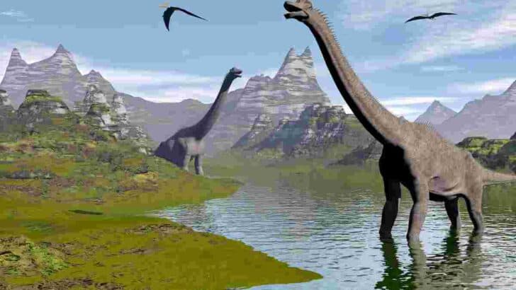 Brachiosaurus-with-nasal-bump-on-head-AdventureDinosaurs-1