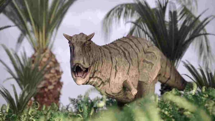 Carnotaurus-the-predator-with-horns-AdventureDinosaurs