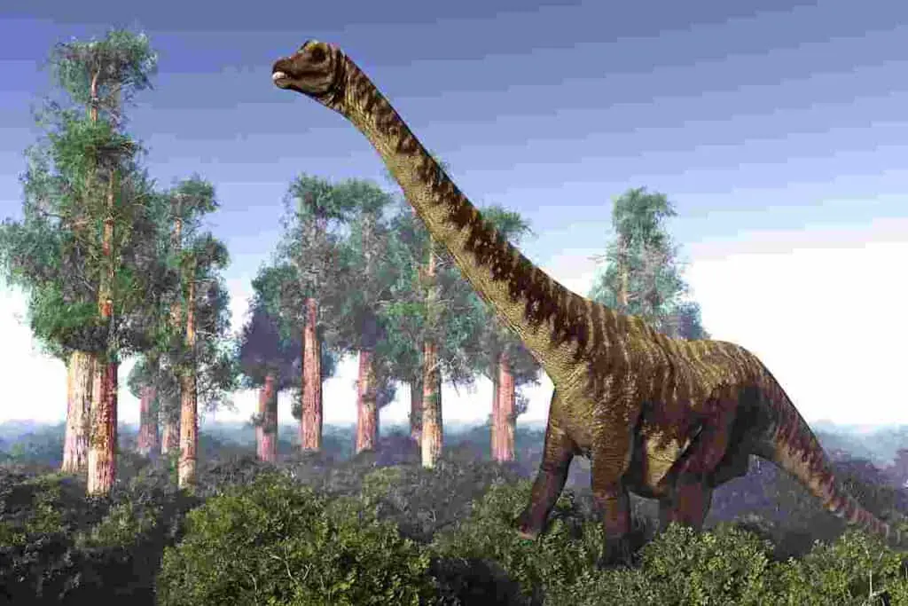 dreadnoughtus fossil