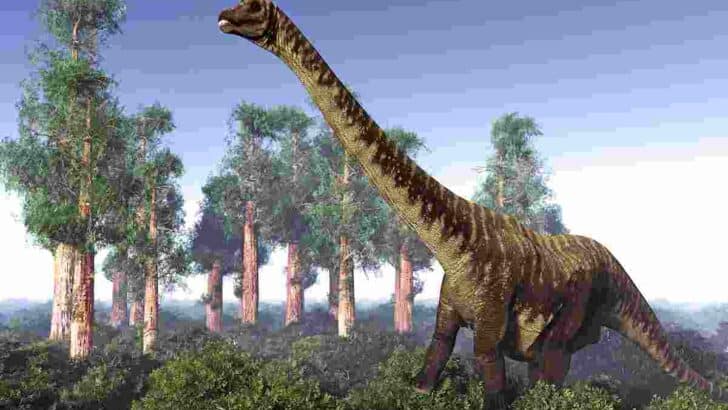Dreadnoughtus-fossils-are-the-most-complete-sauropod-skeletons-AdventureDinosaurs
