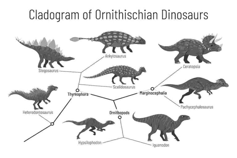 common dinosaurs and their names