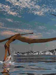 How-do-pterodactyls-hunt-AdventureDinosaurs