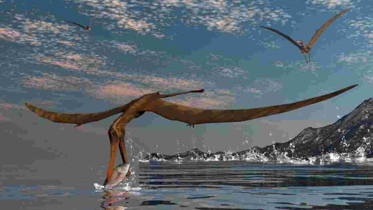 How-do-pterodactyls-hunt-AdventureDinosaurs