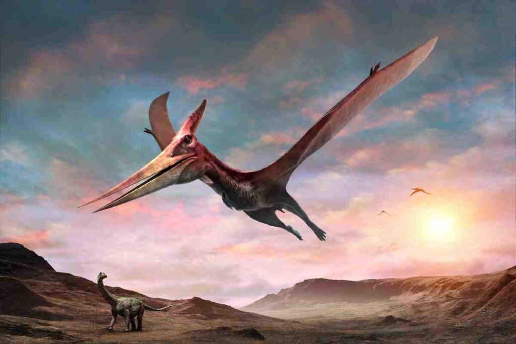 How-fast-can-a-pteranodon-fly-AdventureDinosaurs