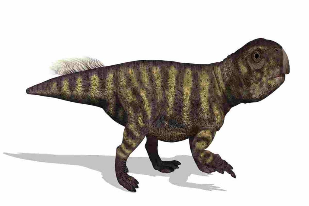 Parrot-Dinosaur-related-to-Parrots-AdventureDinosaurs