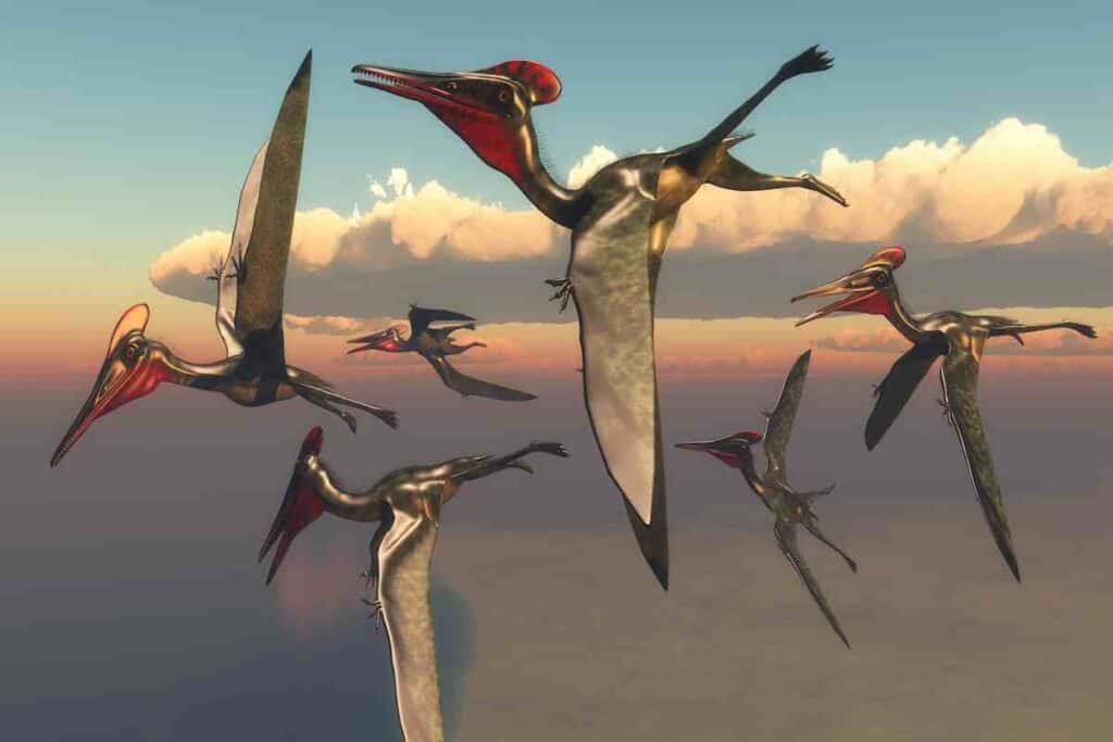 Quetzalcoatlus-pterodactly-how-did-it-fly-AdventureDinosaurs-1