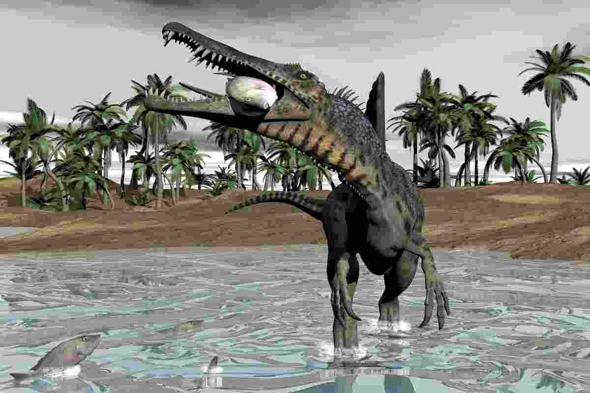 Spinosaurus-eating-AdventureDinosaurs