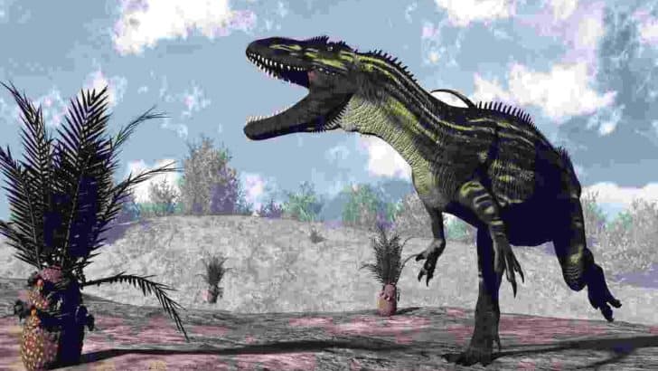 Torvosaurus-one-of-the-carnivorous-dinosaurs-Europe-AdventureDinosaurs-1