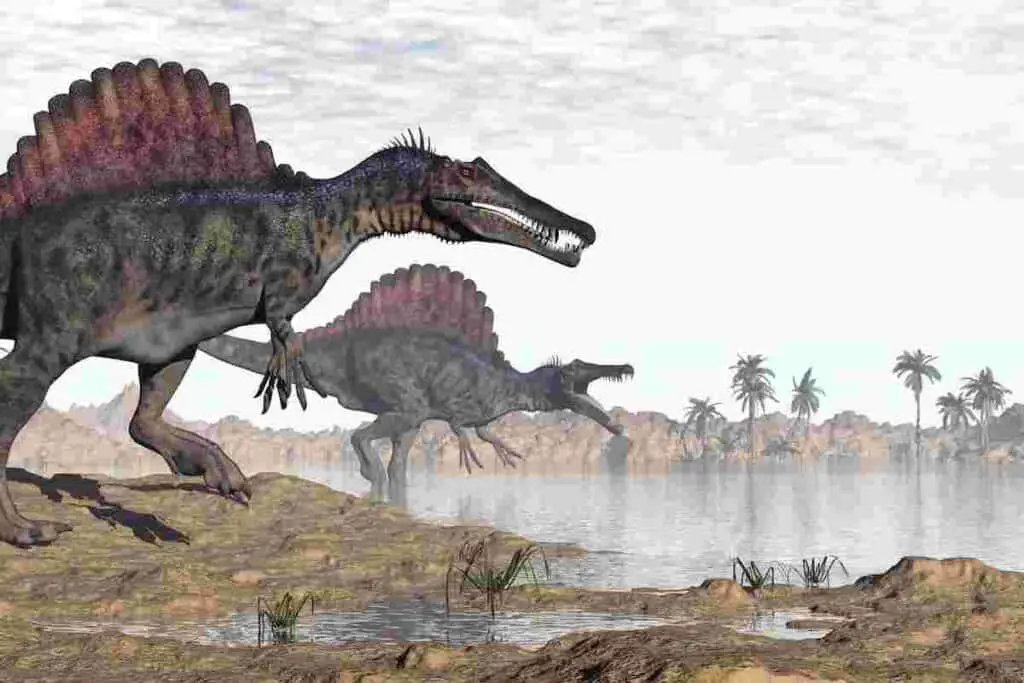What-dinosaurs-lived-with-Spinosaurus-AdventureDinosaurs
