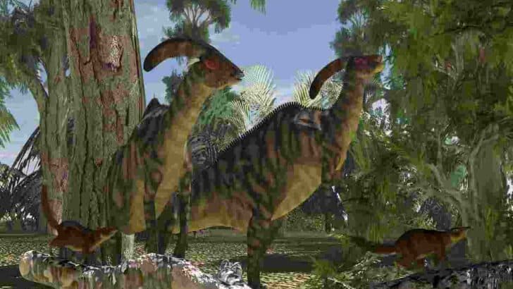 What-is-special-about-the-Parasaurolophus-AdventureDinosaurs
