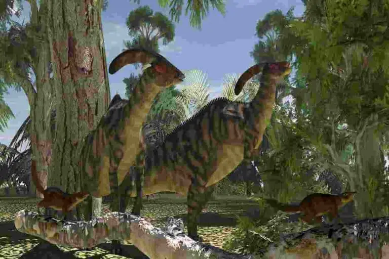 dinosaurs with a crest on their head