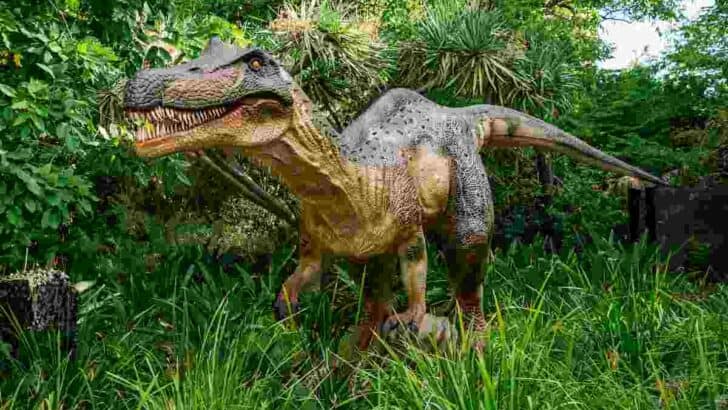 Is Baryonyx Related To Spinosaurus?