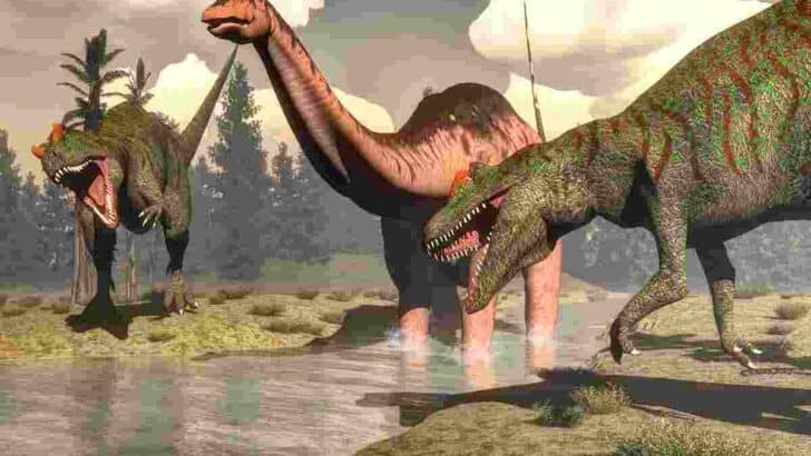 Did-allosaurus-live-with-long-neck-dinosaurs-AdventureDinosaurs