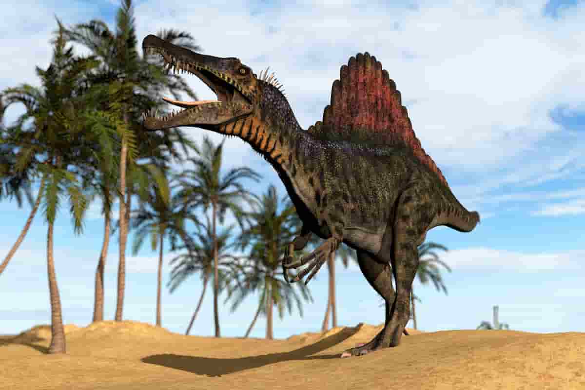 Kem-Kem-beds-fossils-Spinosaurus-and-other-key-dinosaur-groups-AdventureDinosaurs