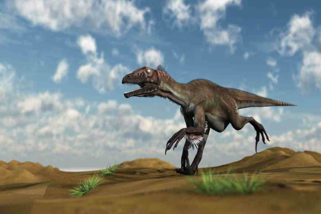 Some-carnivorours-dinosaurs-were-intelligent-AdventureDinosaurs