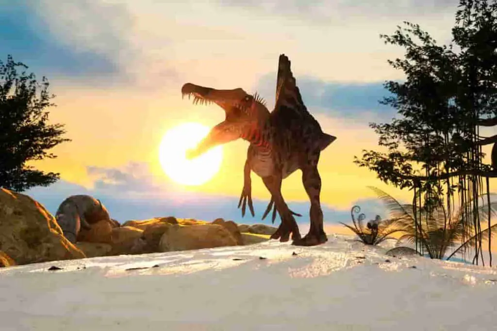 Spinosaurus-fossils-have-been-found-in-the-kem-kem-beds-of-morrocco-AdventureDinosaurs