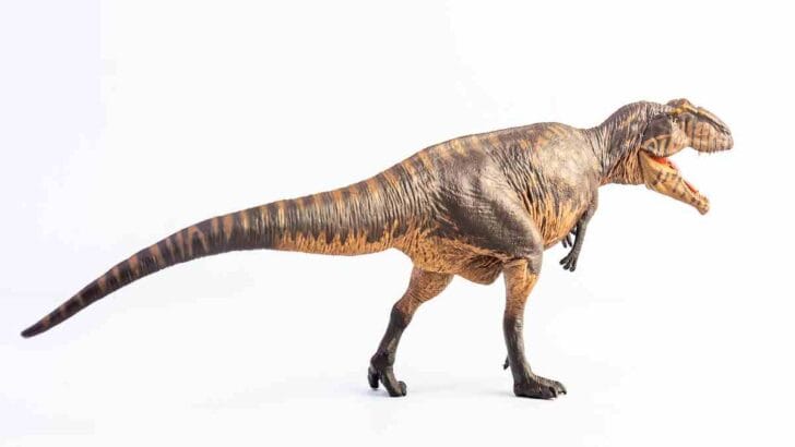 What-habitat-did-giganotosaurus-live-AdventureDinosaurs