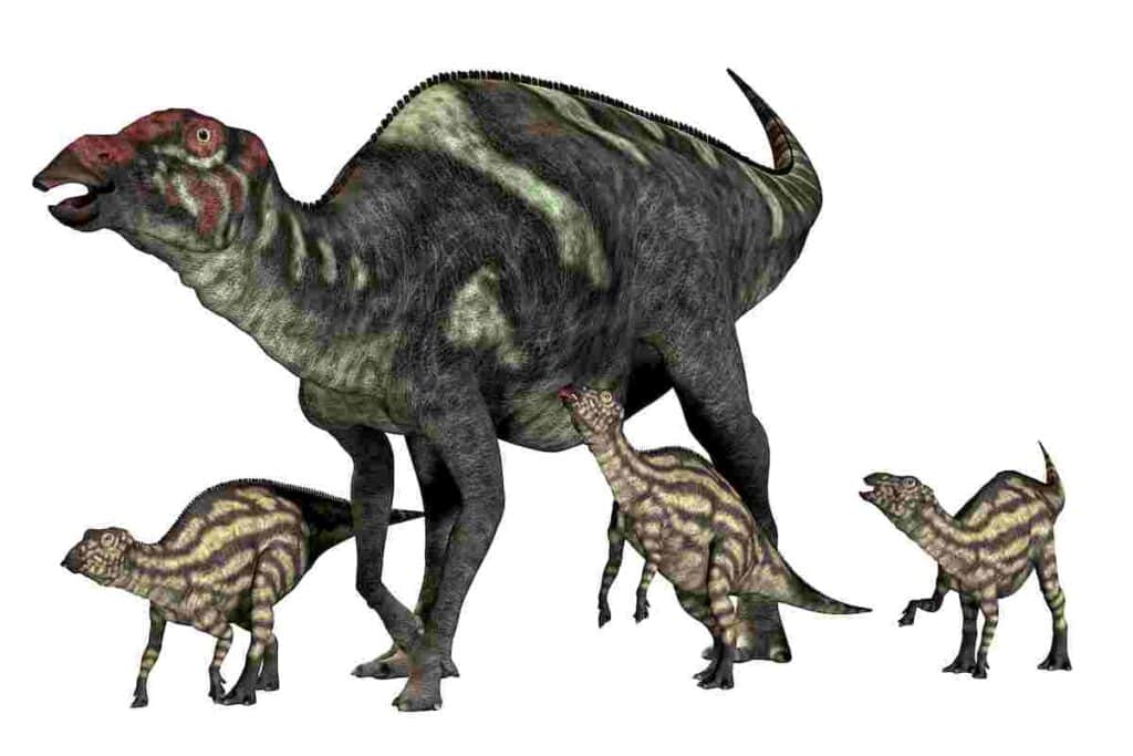 Why-do-scientists-think-hadrosaurs-lived-in-herds-AdventureDinosaurs