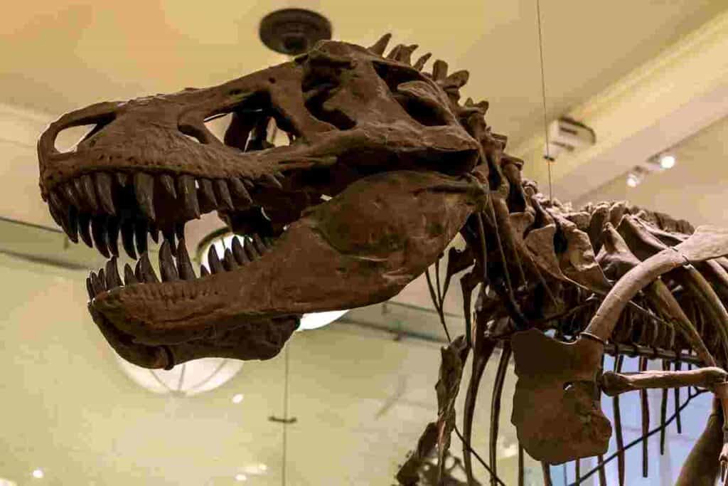 Why-is-the-t-rex-so-famous-AdventureDinosaurs