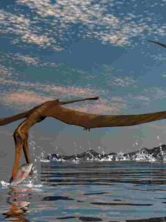 pterosaurs-ate-fish-and-also-insects-and-meat-AdventureDinosaurs