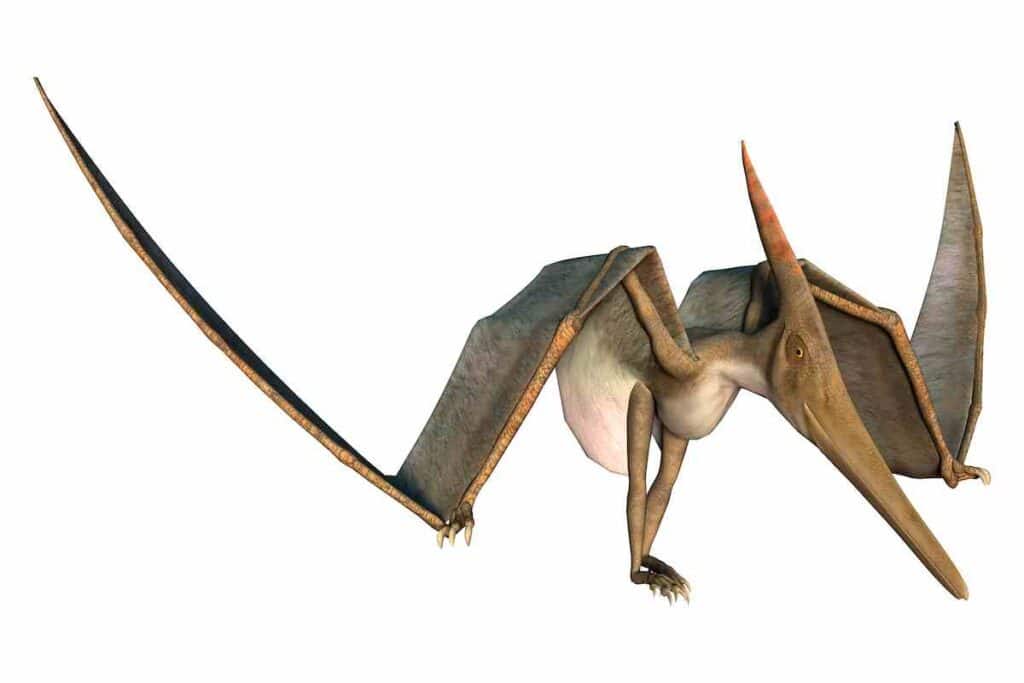 pterosaurs-walked-awkwardly-on-land-AdventureDinosaurs