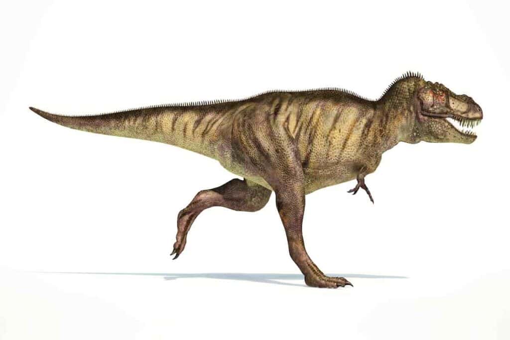 How Fast Can a Tyrannosaurus Rex Run? What We Know From Fossils