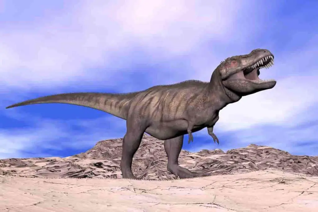 How Tall is T-Rex? Amazing Height of Tyrannosaurus Rex Predator [Plus Dinosaur Fossil Comparisons]
