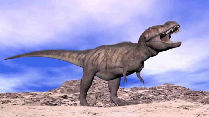 How Tall is T-Rex? Amazing Height of Tyrannosaurus Rex Predator [Plus Dinosaur Fossil Comparisons]