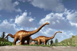 How-did-sauropods-sleep-AdventureDinosaurs
