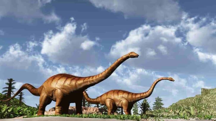 How-did-sauropods-sleep-AdventureDinosaurs