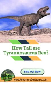 How-tall-are-tyrannosaurus-rex-AdventureDinosaurs