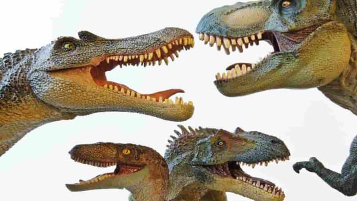 What-Are-the-Tyrannosaurus-Rex-Enemies