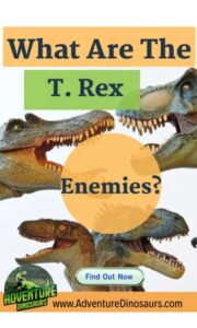 What-are-the-trex-enemies-AdventureDinosaurs