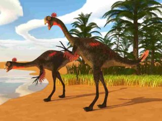 Which-Omnivore-Dinosaur-Was-the-Biggest-AdventureDinosaurs
