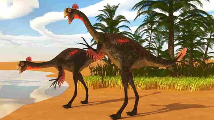 Which-Omnivore-Dinosaur-Was-the-Biggest-AdventureDinosaurs