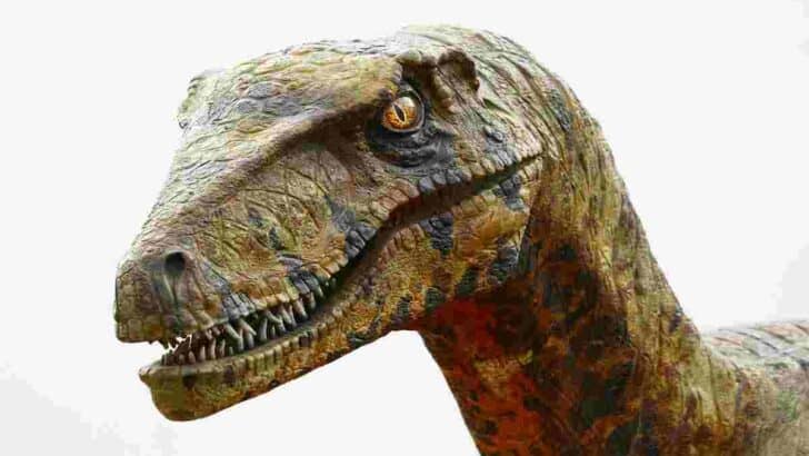 did-dinosaurs-have-ears-dinosaur hearing-AdventureDinosaurs