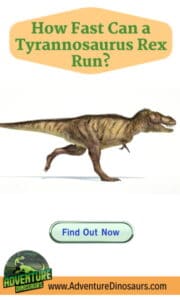 how-fast-can-a-tyrannosaurus-rex-run-Adventuredinosaurs