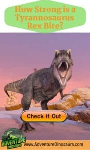how-strong-is-a-tyrannosaurus-rex-bite-AdventureDinosaurs