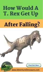 how-would-a-t-rex-get-up-after-falling-Adventuredinosaurs